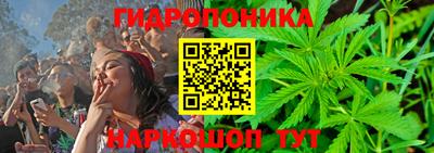 прущие крисы Мариинск