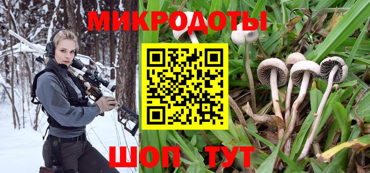 Галлюциногенные грибы Cubensis Грозный