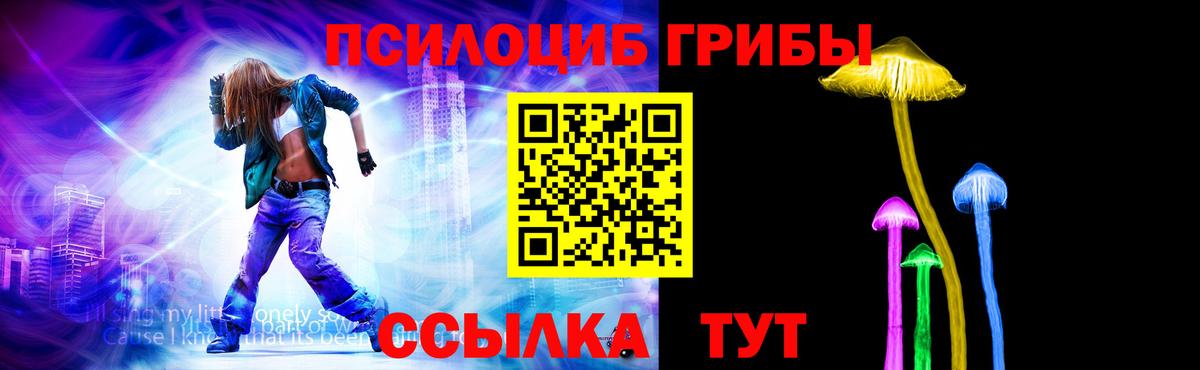 Галлюциногенные грибы прущие грибы  Галлюциногенные грибы прущие грибы  Вход с VPN  Грозный 